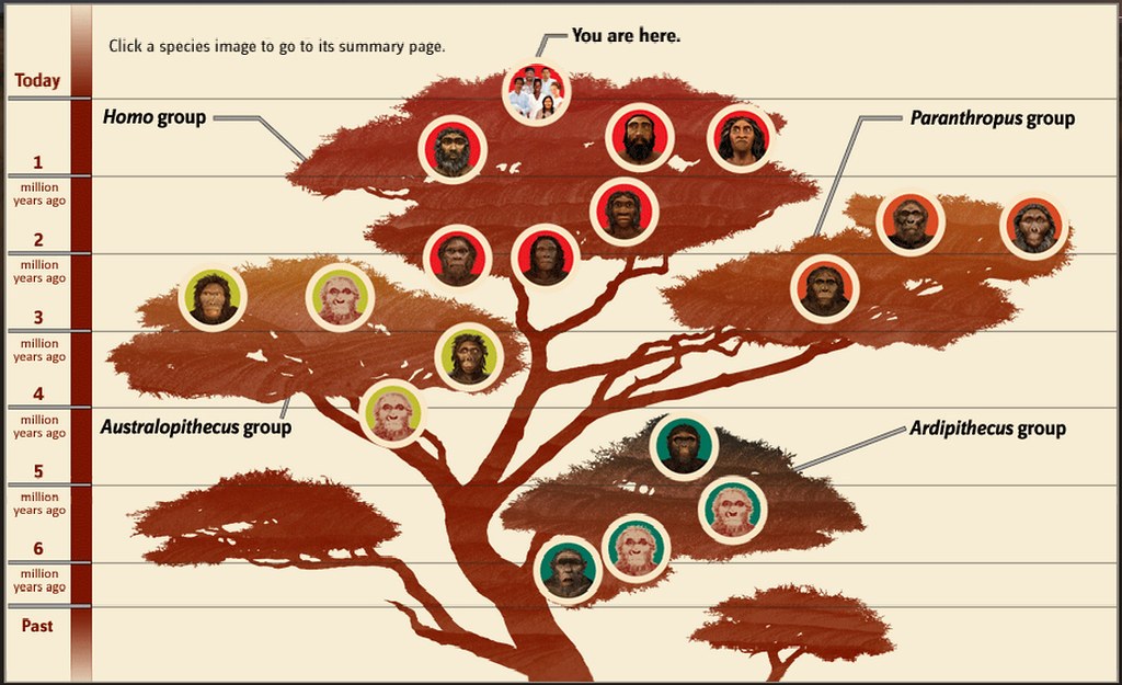 The Human Family Tree (Post #16) - Rlwolfblog